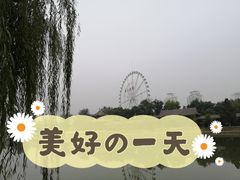 -天津水上公园