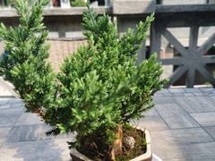 -裕兴记(东门町店)