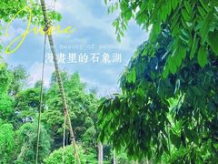 -保利石象湖景区