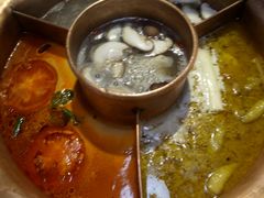 菌王奇香锅-老诚一锅羊蝎子(黄寺大街店)