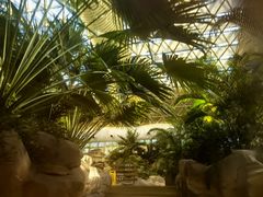 -杭州开元森泊度假乐园