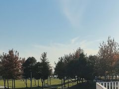 -上海山野camping·户外天幕烧烤·团建拓展营地