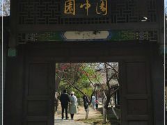 -桃花堤公园