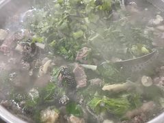 -小杨翘脚牛肉