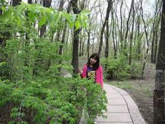 -黑龙江省森林植物园