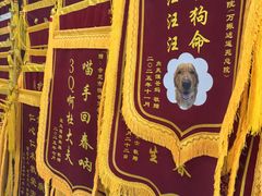 -恒幸动物医院·急重症转诊中心·神经内外科·CT核磁