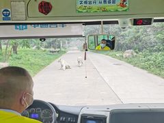 -西安秦岭野生动物园