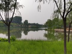 -东郊湿地公园