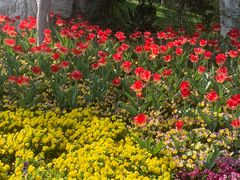 -长春公园(普阳街道)