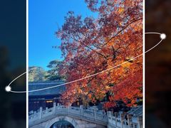 -香山公园