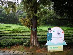 -敬亭山风景名胜区