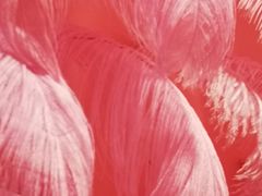 -杭州西湖星空魔幻城(星空艺术馆品牌旗舰店)