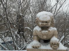 -野徐·咖啡烘焙
