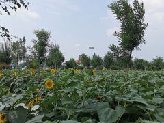 -兴芮温泉度假区