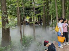 -东湖落雁景区