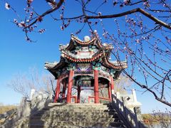 -颐和园