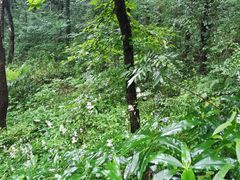 -中国铁路上海局集团有限公司杭州职工培训基地