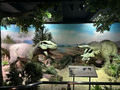 -国家自然博物馆