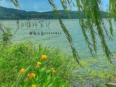 -渤公岛生态公园