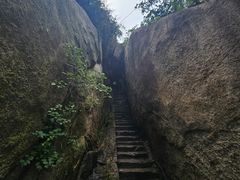 -鲁山国家森林公园