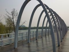 -大兴滨河森林公园