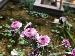 -归觅·西关小姐人文艺术馆(荔枝湾店)