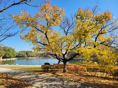 -长春世界雕塑园冰雪艺术天地