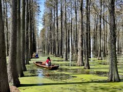 -渌洋湖湿地公园