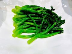 生炒有机菜心-九朝会昆曲·宴(望京店)