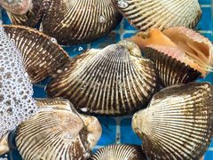 -海之鲜大排档(东山海鲜金銮湾店)