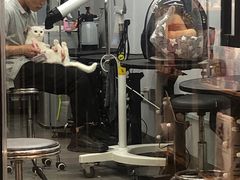 -PETKIT小佩宠物(古北店)