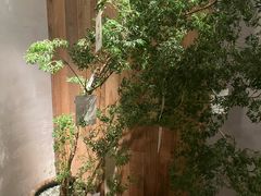 -时光花园(白鹭洲店)