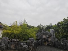 -广东花都湖国家湿地公园