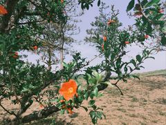 -西安汉城湖景区