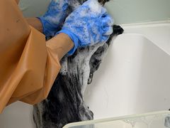 -达爱动物医院·犬猫分区·CT·复杂眼科(远洋山水分院)