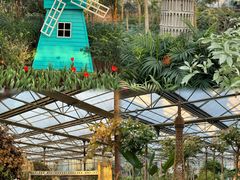 -南宫五洲植物乐园