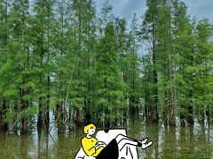 -白鹭湾湿地公园