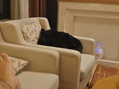 -长白山万达锦华套房酒店