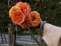 -回龙观体育文化公园