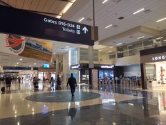 -达拉斯 沃斯堡国际机场