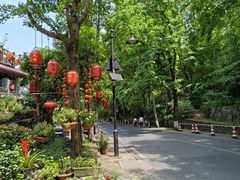 -国生茶庄·地道农家菜团建活动