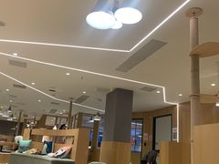 -CAT’S MEWSTAR CAFE·喵星球猫屋(晴湾咖啡店)