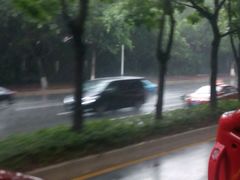 -广州都市观光巴士(粤陶巴)