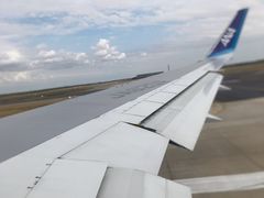 -全日本空输株式会社(上海办事处)