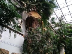 -龙达温泉生态城
