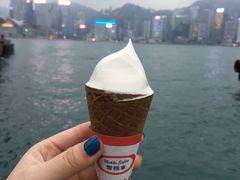 -富豪雪糕车流动点(尖沙咀)