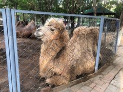 -长白岛森林公园