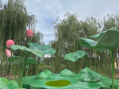 -清河半岛温泉度假酒店