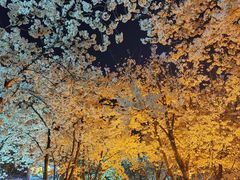 -龙美术馆(西岸馆)