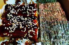 Eel Rice Bowl